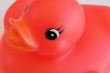 Red plastic duck