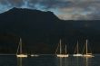Sailboats in the Early Monring Light