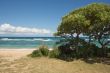Inviting Tropical Shoreline