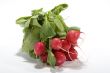 Fresh radish