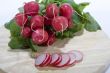 Fresh radish