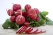Fresh radish
