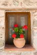 Flower pot in window