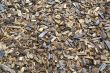 Background of Landscaping Wood Chips