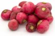 Some garden radishes