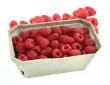 raspberries in cardboard box