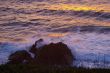 Corsica beach in the evening