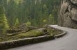 Road in Bicaz canyon