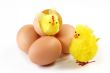 Yellow chicken