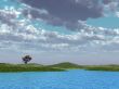 tree on field
