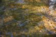 flowing water