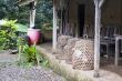 house in Bali