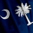 South Carolina Flag Closeup