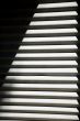 striped texture