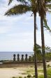 easter island with palmtrees and statues