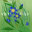 wildflowers