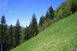 beautiful nature