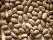 Haricot beans