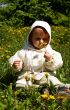 Smalll girl holds a yellow dandelion