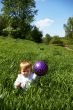 Girl sits on a grass with a ball
