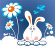 bunny and chamomiles