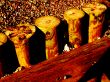 dark abstract of beach groynes