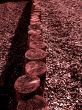 sepia toned groyne