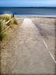 Pathway and fence leading to sea