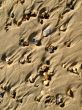 Pattern left in sand