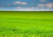 green and blue