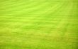 Playing field