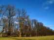 An avenue of trees