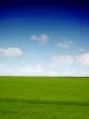 Green grass and blue sky