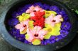 colorful floral arrangment