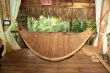 native hammock