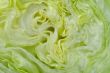 lettuce background