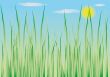 herbal background
