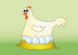 hen with eggs