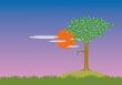 background of a single tree