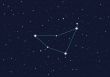 constellation `Capricorn`
