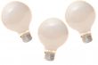 Isolated Light Bulb