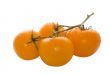 Ripe orange tomatoes