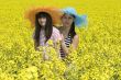 Teenagers in the rape field