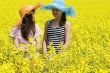 Teenagers in the rape field