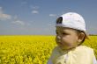 Baby in the rape field