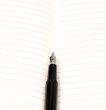 fountain pen and notebook