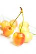 orange cherries