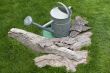 watering-can