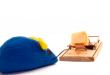 Toy Mouse
