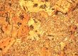 Cork texture
